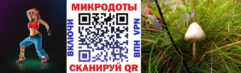 Галлюциногенные грибы мухоморы Купить Хилок
